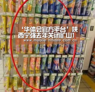 ‘华体会官方平台’陕西宁强去年关闭矿山16个整改矿企67家(图3) 华体会体育