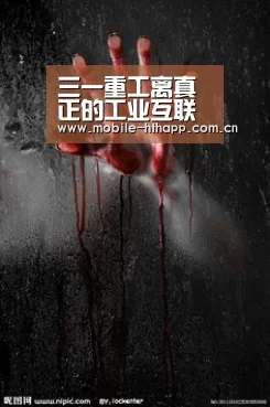 三一重工离真正的工业互联网还有多远?“华体会体育app下载”(图3) 华体会体育app下载
