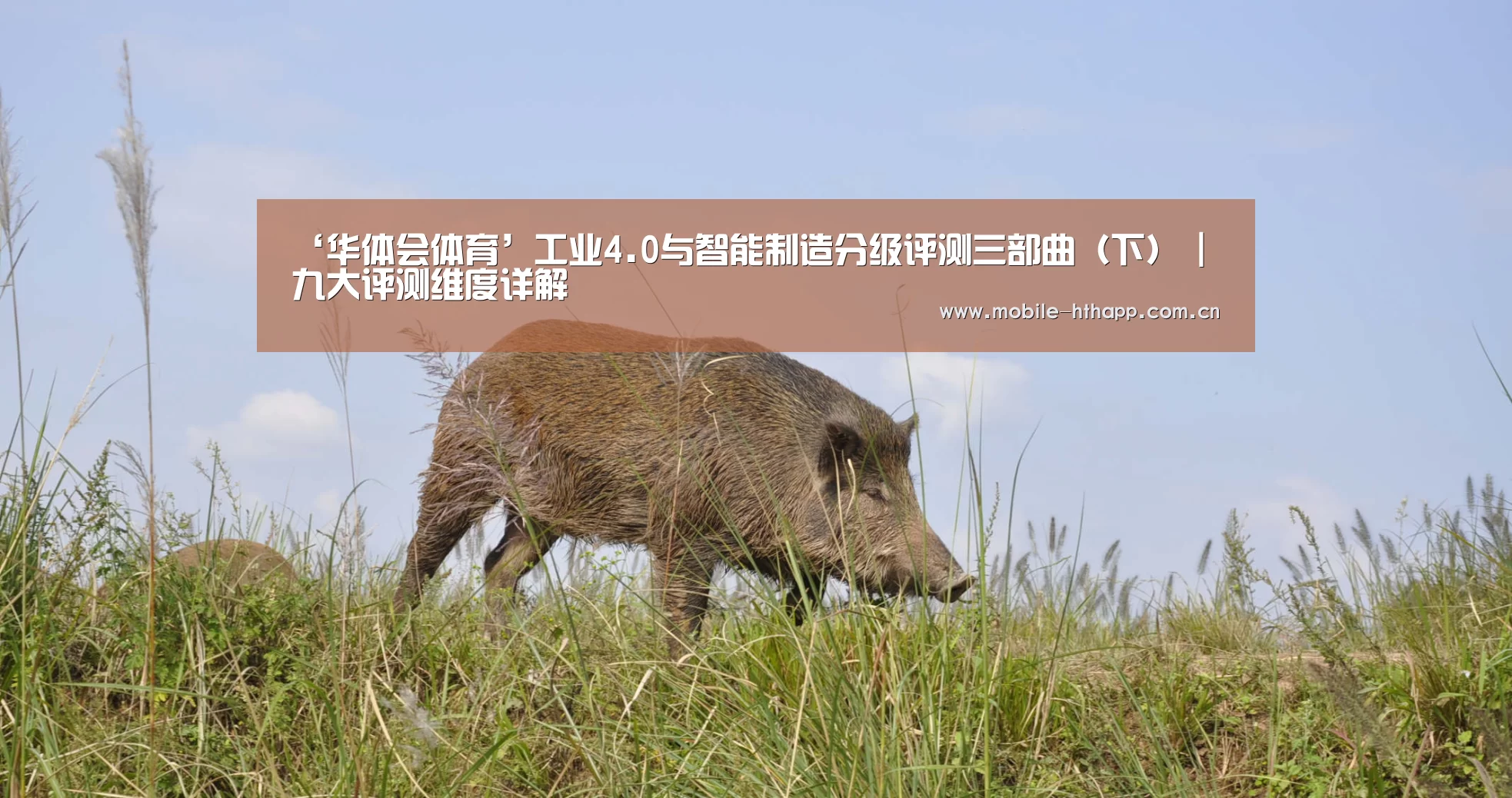 ‘华体会体育’工业4.0与智能制造分级评测三部曲(下) | 九大评测维度详解(图2) 华体会体育