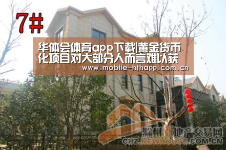 华体会体育app下载|黄金货币化项目对大部分人而言难以获利